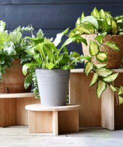 Alternative view of Esschert Design Bamboe Plantentafeltje 25x19.5 cm