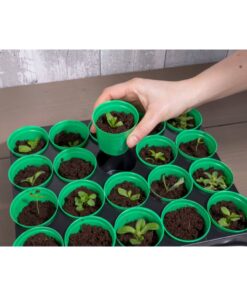 Alternative view of Kinzo Kweekpotten met Tray 20 Potjes