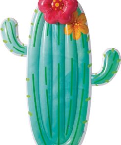 Intex 58793EU Cactus Float