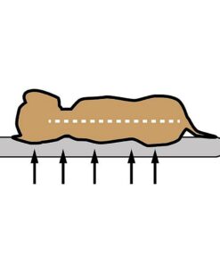 Alternative view of Sun Garden Buddy Orthopedisch Hondenkussen 120x72x10cm Grijs/Antraciet