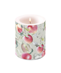 Ambiente Fresh Apples Stompkaars 75 Branduren 10x12 cm