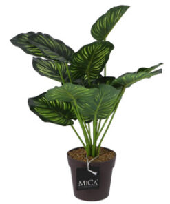 Mica Decorations Kunstplant Calathea In Pot Groen 40 Cm