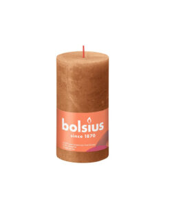 Bolsius Kaars 13x6