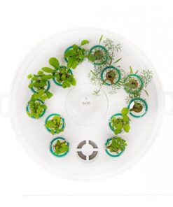 Alternative view of Plantui Booster Tray Wit