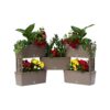 Bama Brick Koppelbare Plantenbakken 75L 59x23x27 cm 5 Stuks Taupe