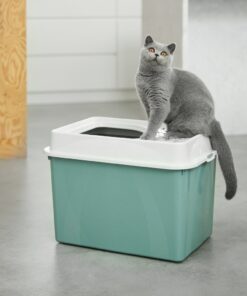 Alternative view of Rotho Eco Berty Kattenbak met Boveningang Groen/Zand