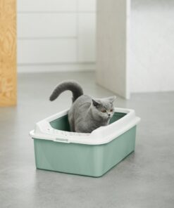Alternative view of Rotho Eco Bonnie Kattenbak met Boveningang M Groen/Zand