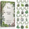 OwnGrown Keuken kruidenzaden set 12 soorten keukenkruiden Kruidenzaden voor keuken